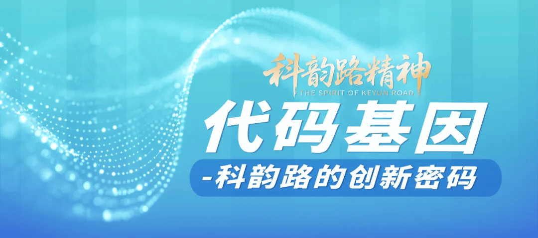 企业官网建设